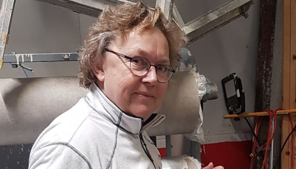 A-krim – ikke bare et storbyfenomen
