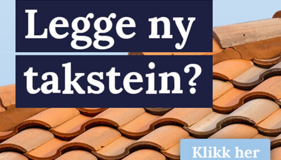 ANNONSEFORMAT: Kampanjen er utformet som annonser i dagspressen rettet mot huseiere med oppussingsbehov.