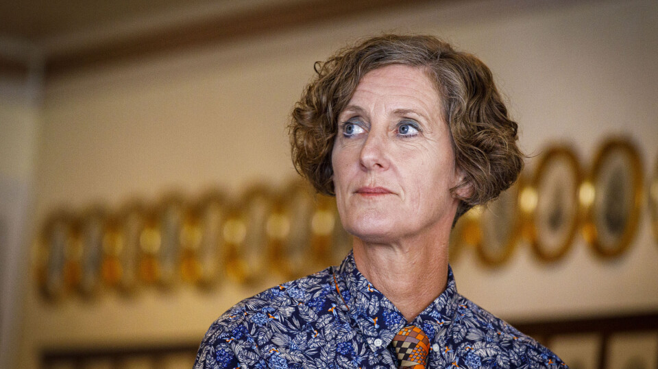 SAMLE MALERNE: Anna Furhoff Jensen innser at hun ikke lyktes med å åpne MLF for andre enn medlemmer med mesterbrev. Men fortsatt mener hun det er viktig å samle hele den seriøse bransjen i samme organisasjon.